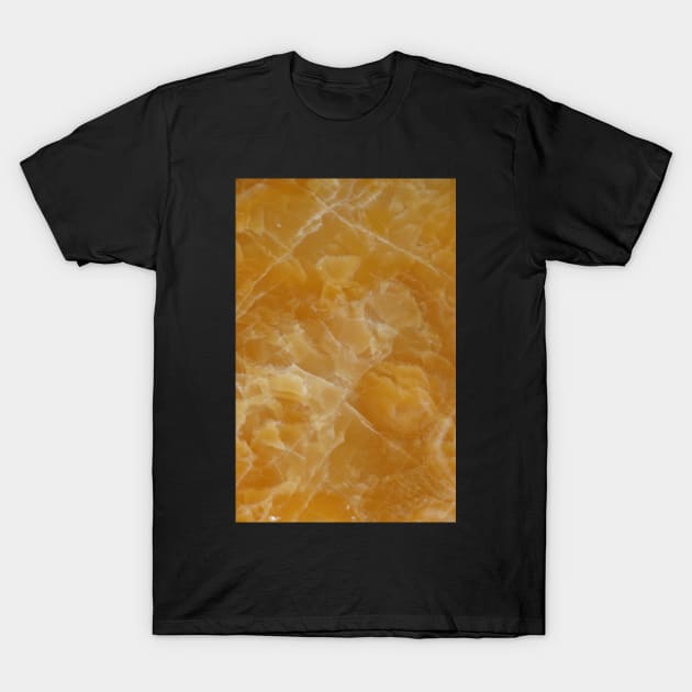 Onyx T-Shirt by foxxya